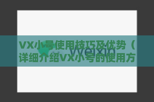 VX小号使用技巧及优势（详细介绍VX小号的使用方法）