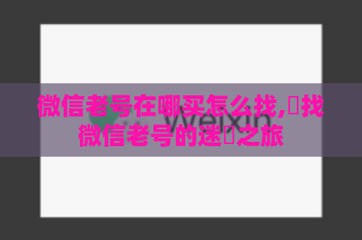 微信老号在哪买怎么找,尋找微信老号的迷宮之旅