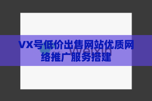 VX号低价出售网站优质网络推广服务搭建