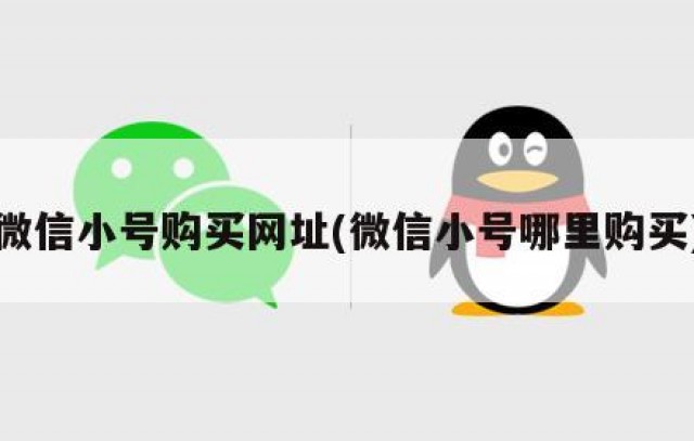微信小号购买网址(微信小号哪里购买)