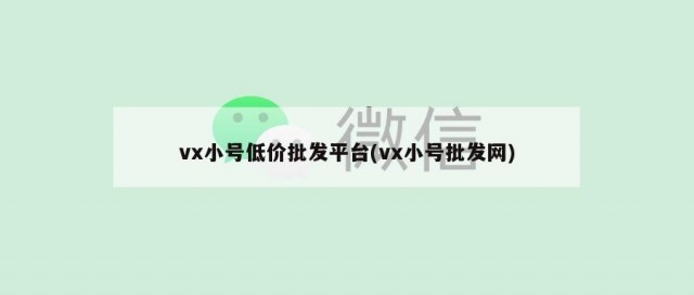 vx小号低价批发平台(vx小号批发网)