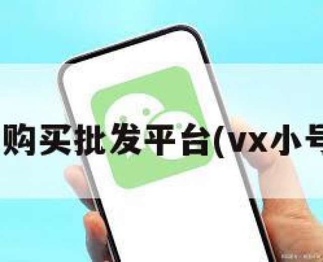 vx小号购买批发平台(vx小号 购买)